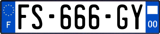 FS-666-GY