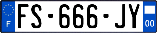 FS-666-JY