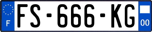 FS-666-KG