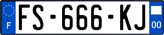 FS-666-KJ
