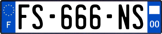 FS-666-NS