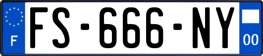 FS-666-NY