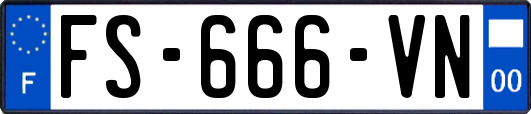 FS-666-VN