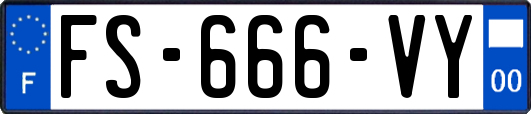 FS-666-VY