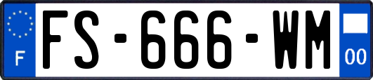 FS-666-WM