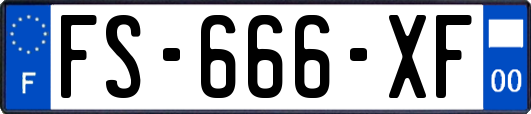 FS-666-XF