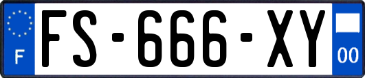 FS-666-XY