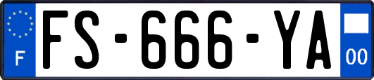 FS-666-YA