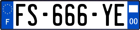FS-666-YE