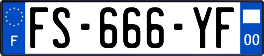 FS-666-YF