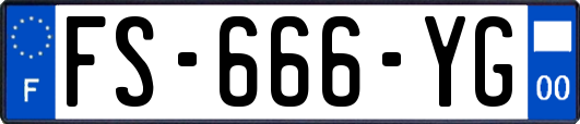 FS-666-YG