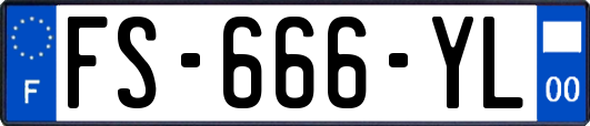 FS-666-YL