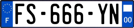 FS-666-YN