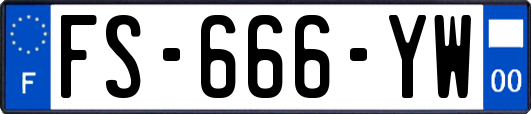FS-666-YW
