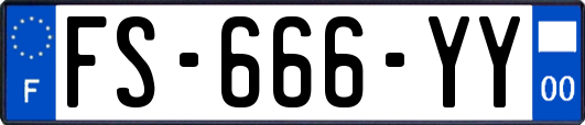 FS-666-YY
