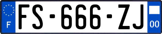 FS-666-ZJ