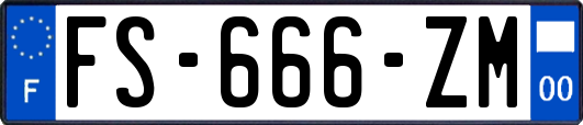 FS-666-ZM