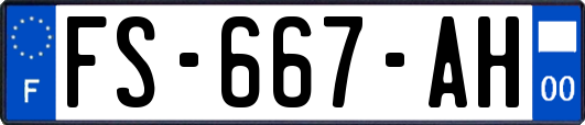 FS-667-AH