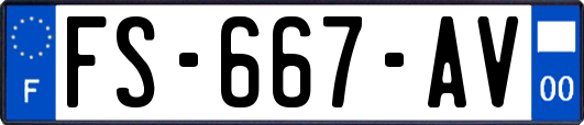 FS-667-AV