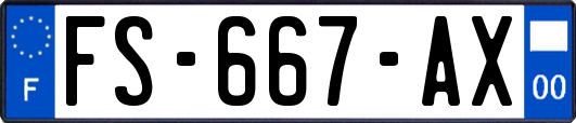 FS-667-AX