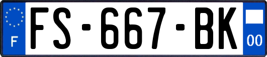 FS-667-BK
