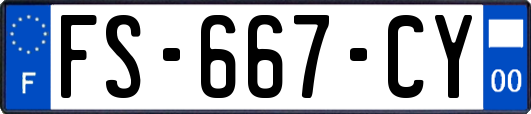 FS-667-CY