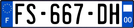 FS-667-DH