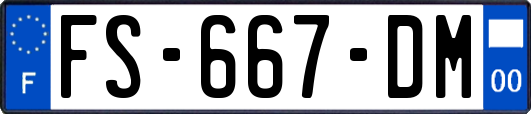 FS-667-DM