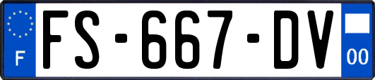 FS-667-DV