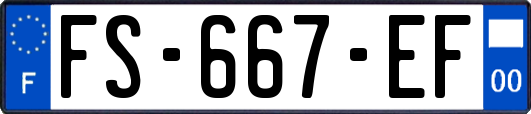 FS-667-EF
