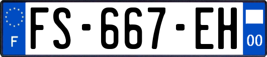 FS-667-EH
