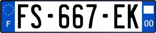 FS-667-EK