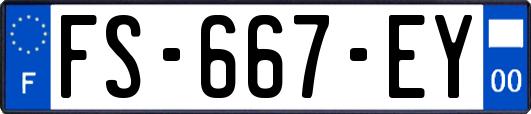 FS-667-EY