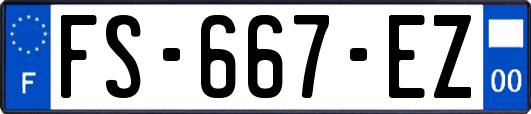 FS-667-EZ