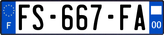 FS-667-FA