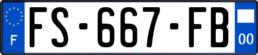 FS-667-FB