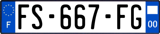 FS-667-FG