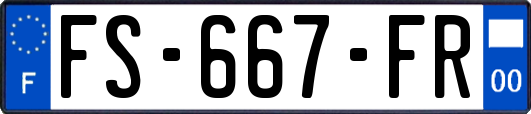 FS-667-FR