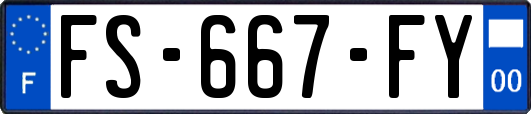 FS-667-FY