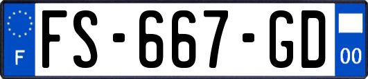 FS-667-GD