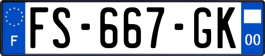 FS-667-GK