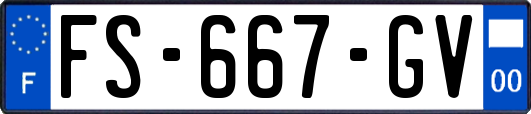 FS-667-GV