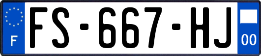 FS-667-HJ