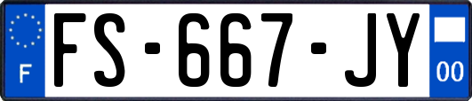 FS-667-JY