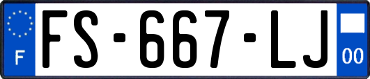 FS-667-LJ
