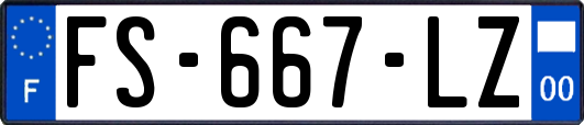 FS-667-LZ