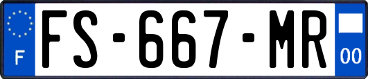 FS-667-MR