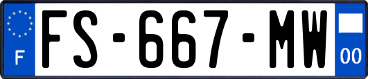 FS-667-MW