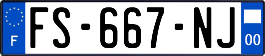 FS-667-NJ