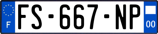 FS-667-NP